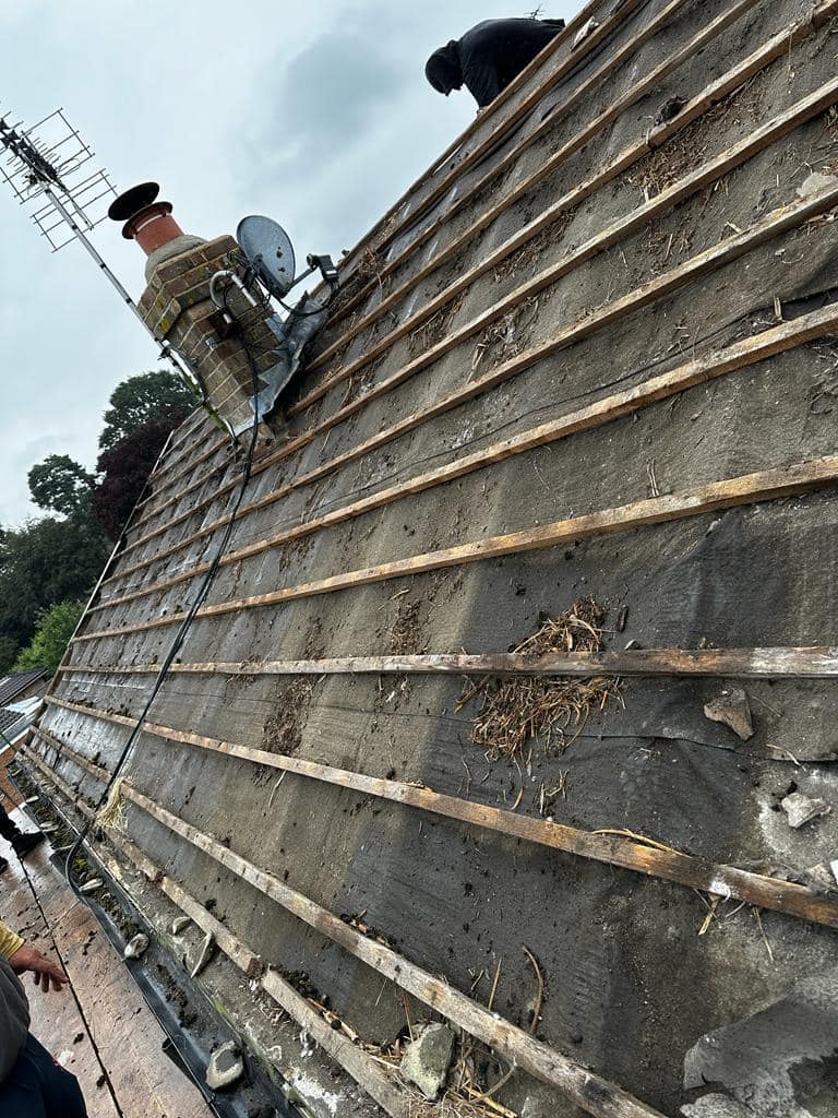 Roofing project - 1048130119772781