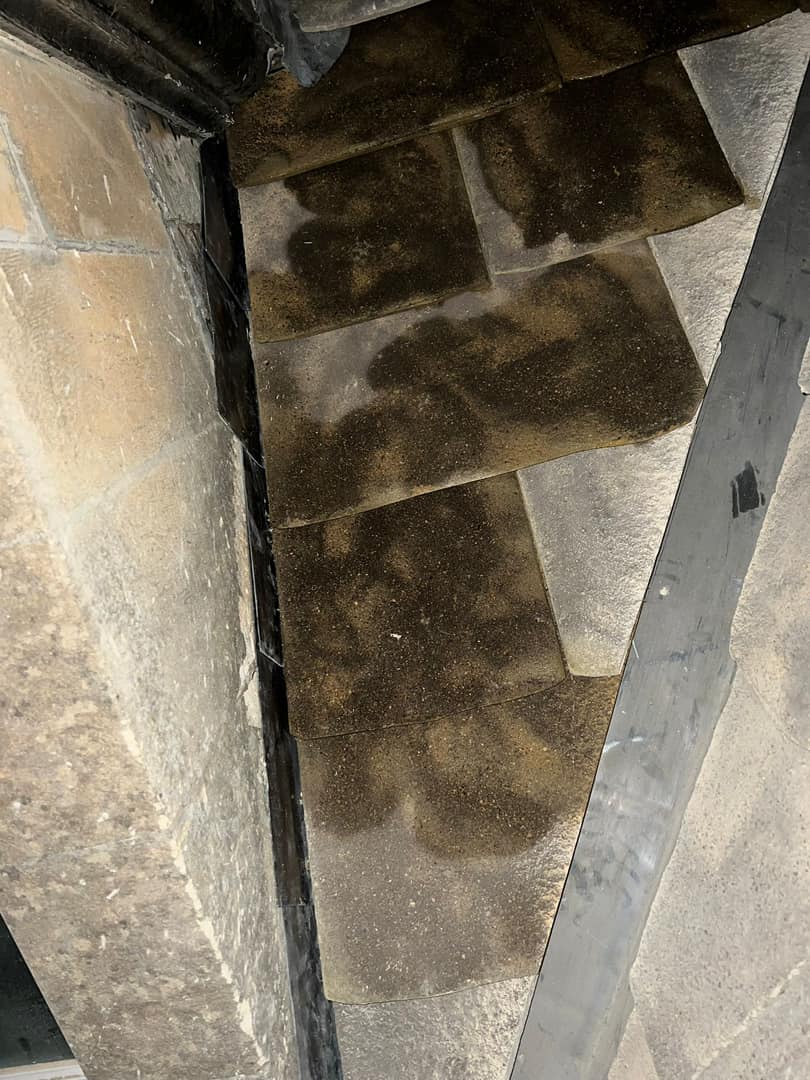 Roofing project - 1123412722244520