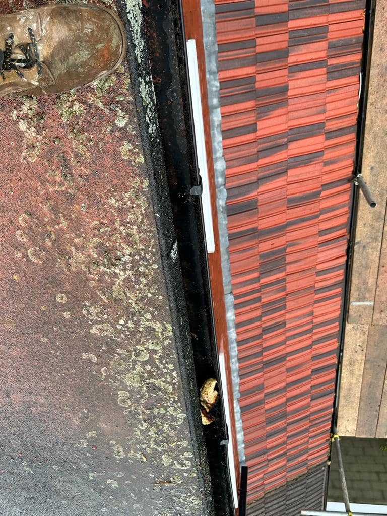 Roofing project - 1123524235566702