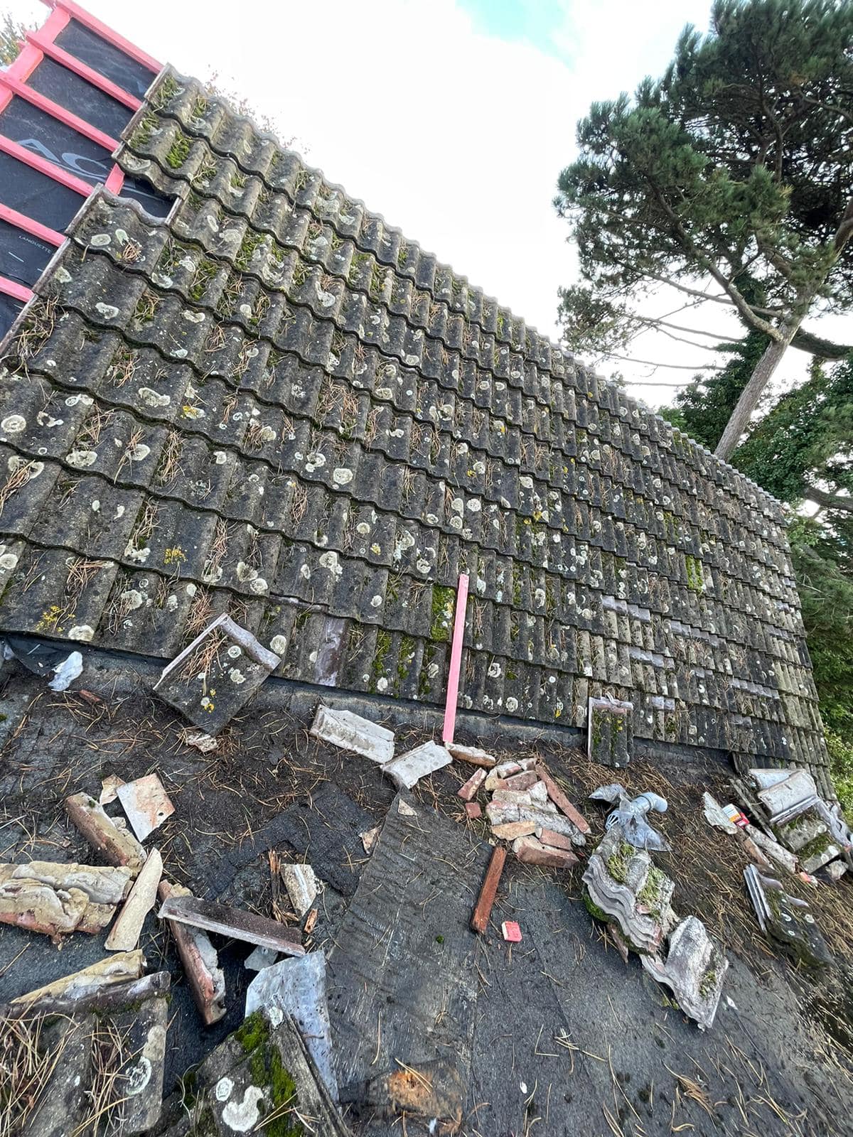 Roofing project - 1123713218881137