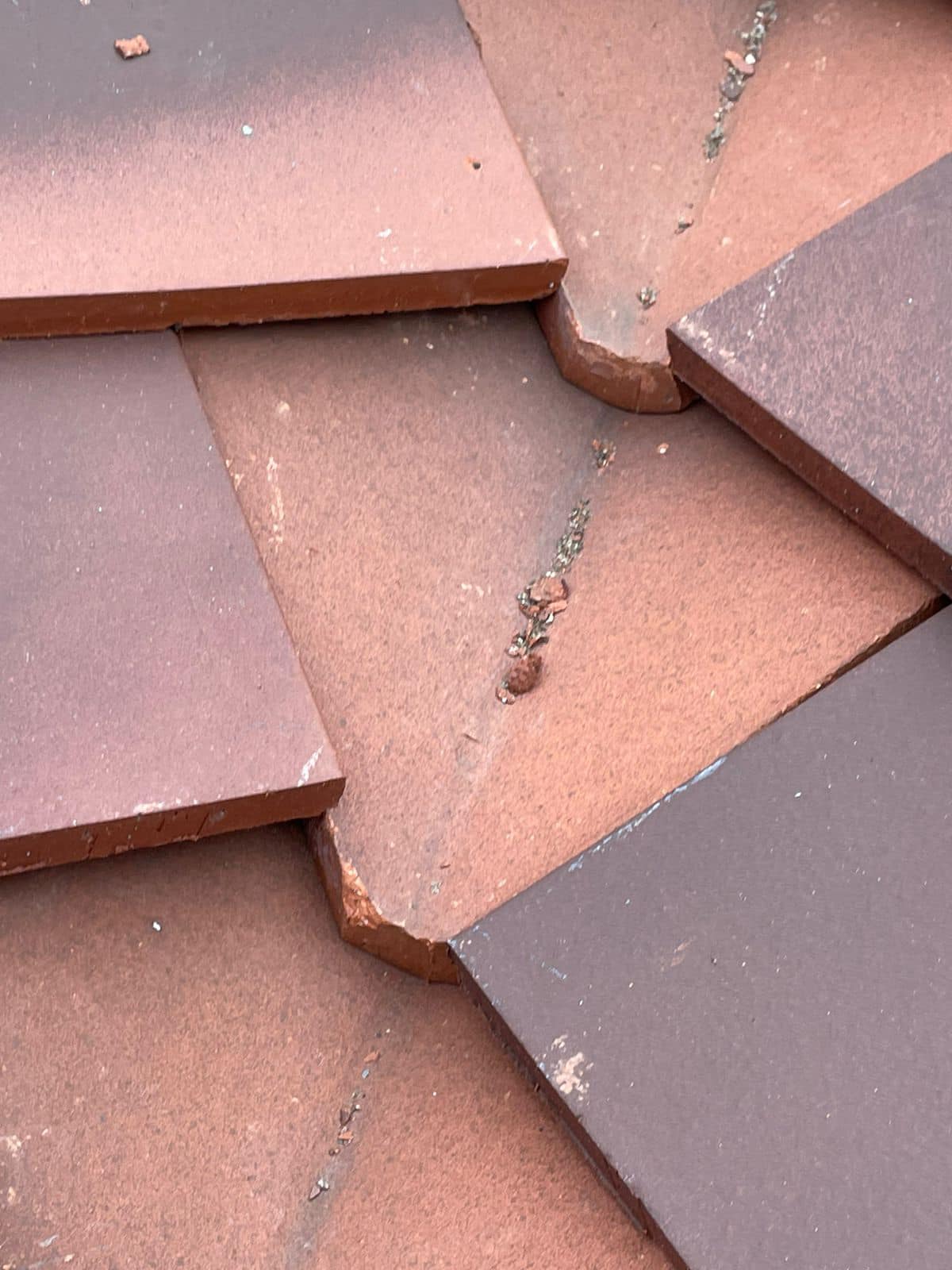 Roofing project - 1123739888878470