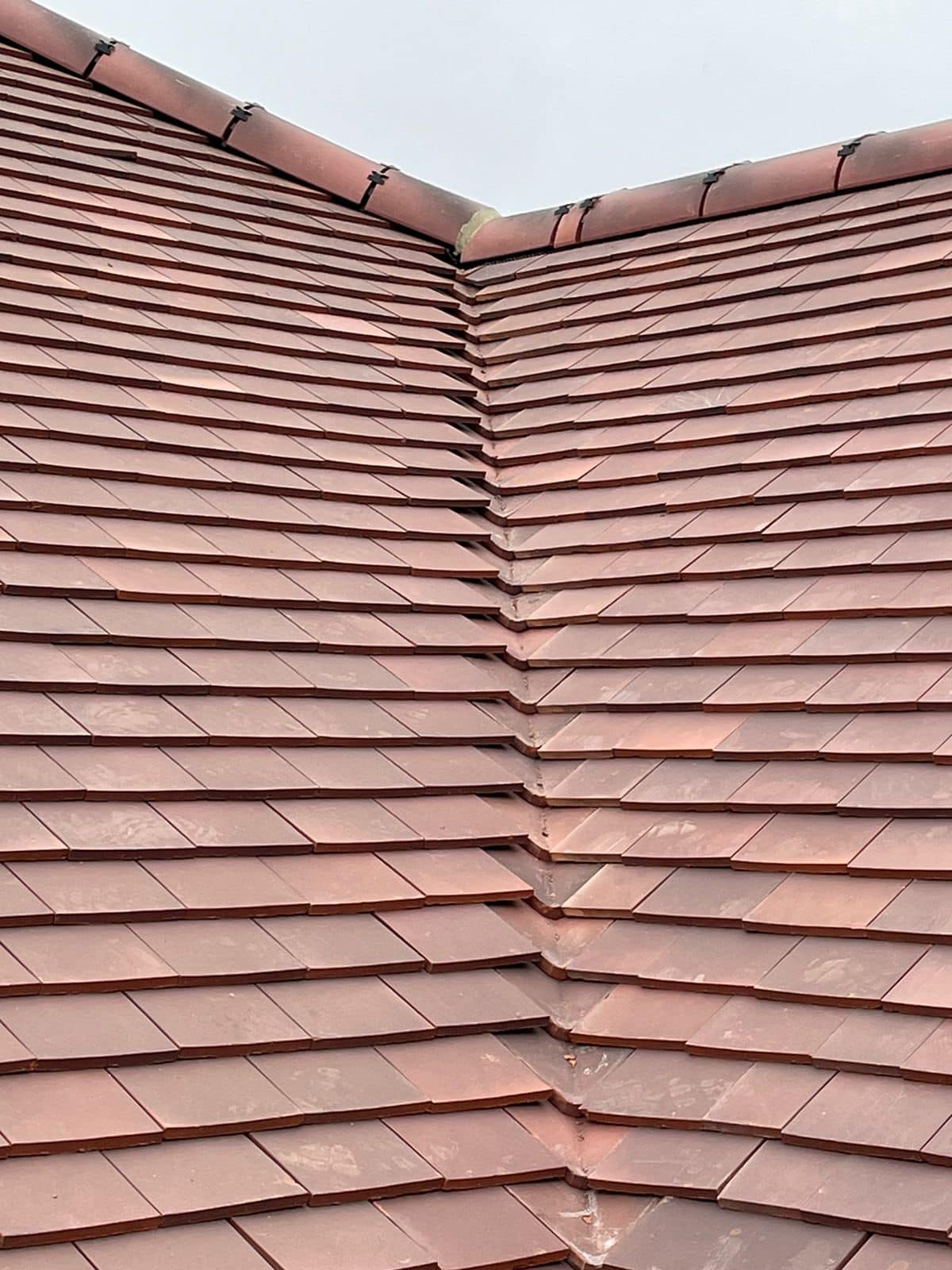 Roofing project - 1123740278878431