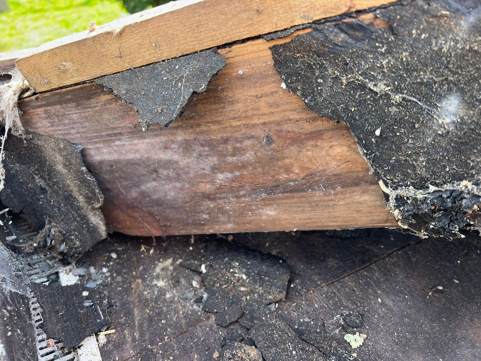 Roofing project - 1123745938877865