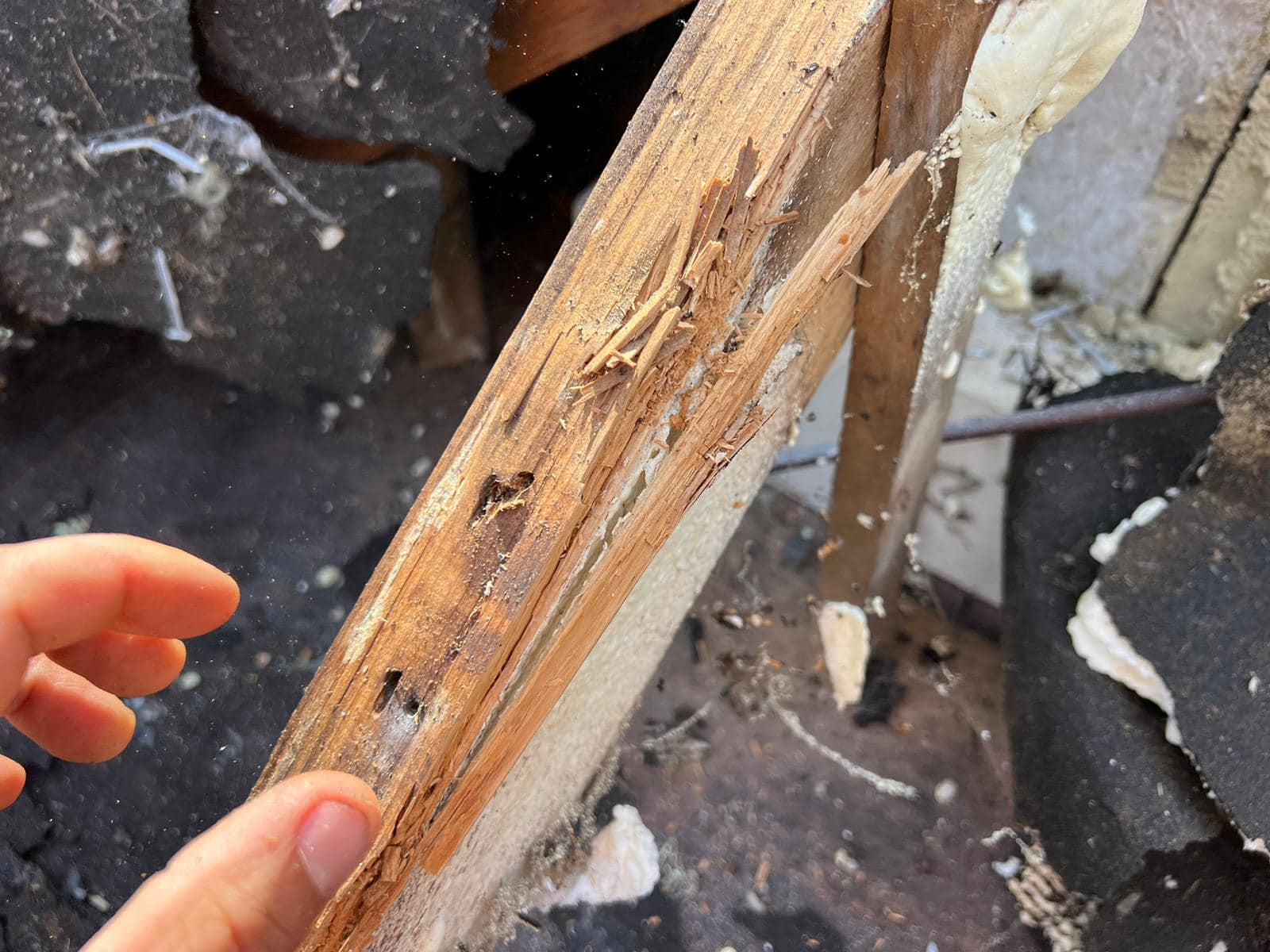 Roofing project - 1123746892211103