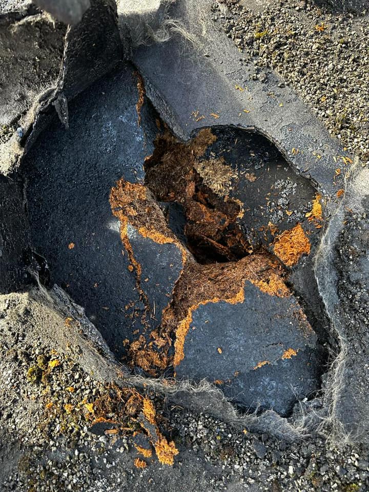 Roofing project - 1123764145542711