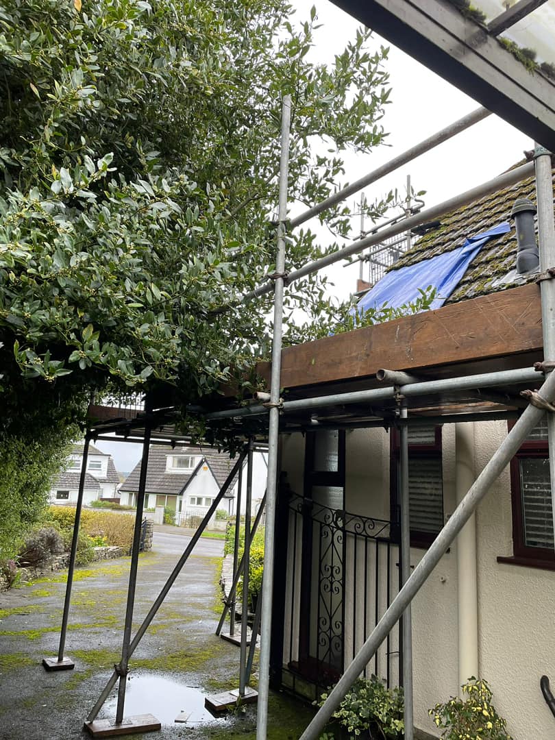 Roofing project - 1160650238520768