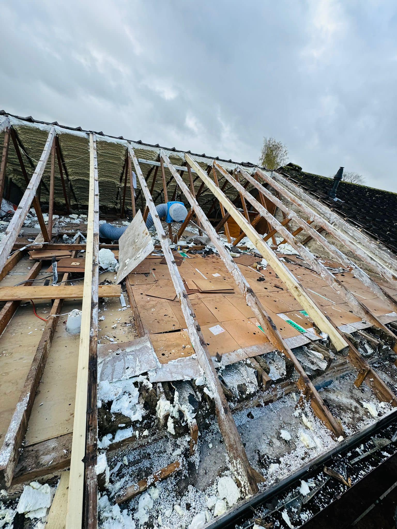 Roofing project - 1192277232024735