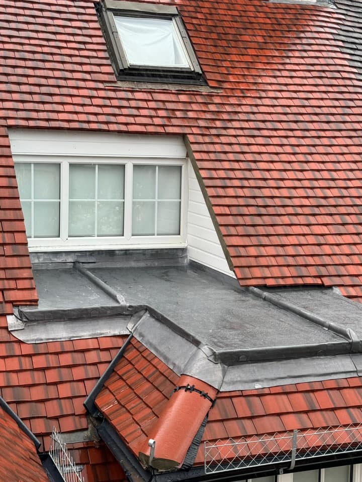 Roofing project - 1192284055357386