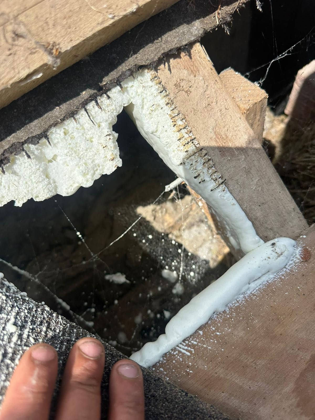 Roofing project - 1229140491671742