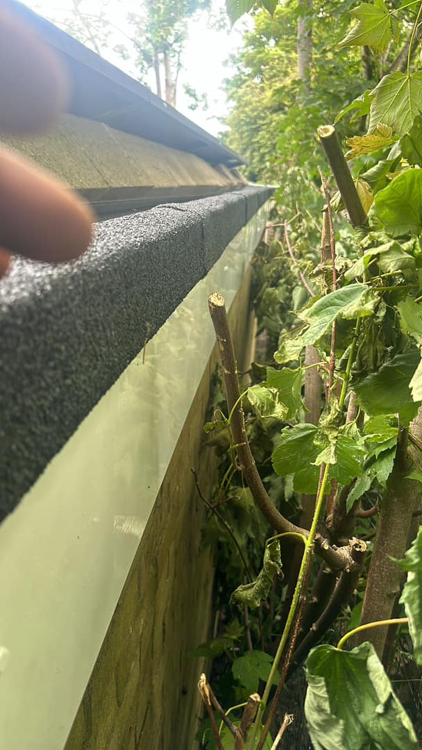 Roofing project - 1229151498337308