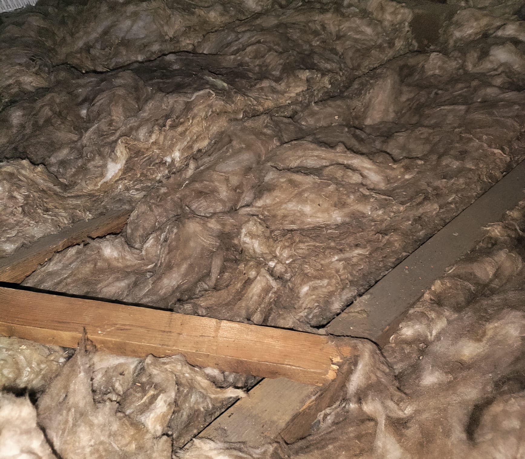 Roofing project - 1229189391666852