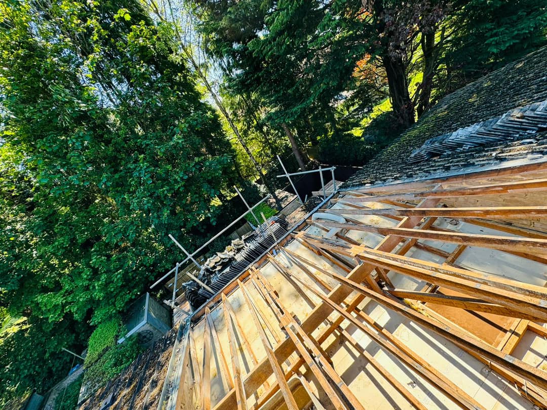 Roofing project - 1229192361666555