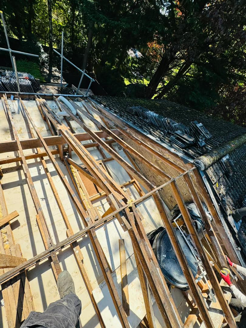 Roofing project - 1229192594999865