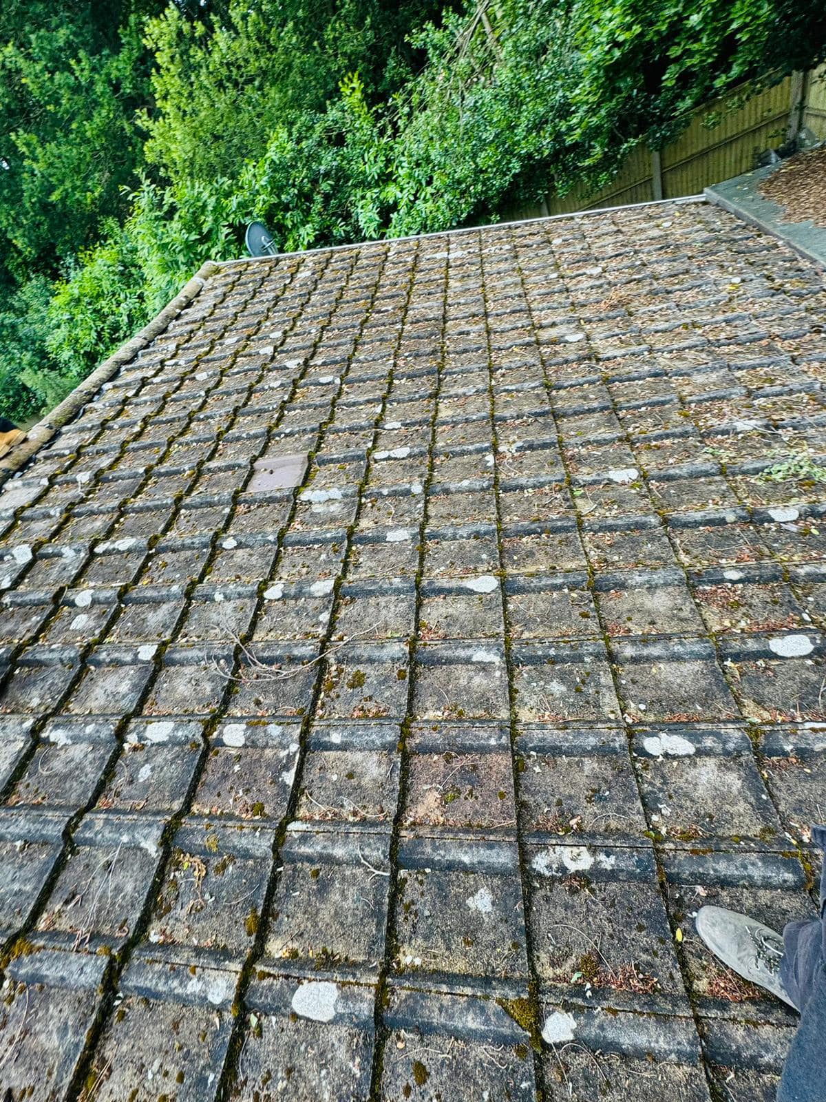 Roofing project - 1229199351665856