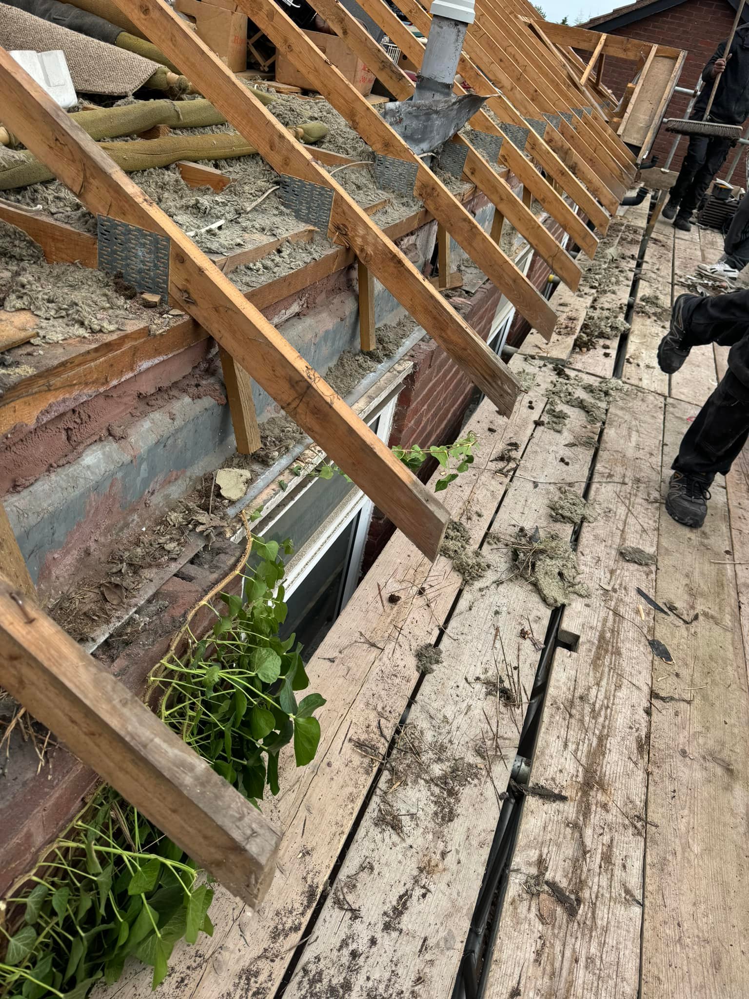 Roofing project - 1255355592383565