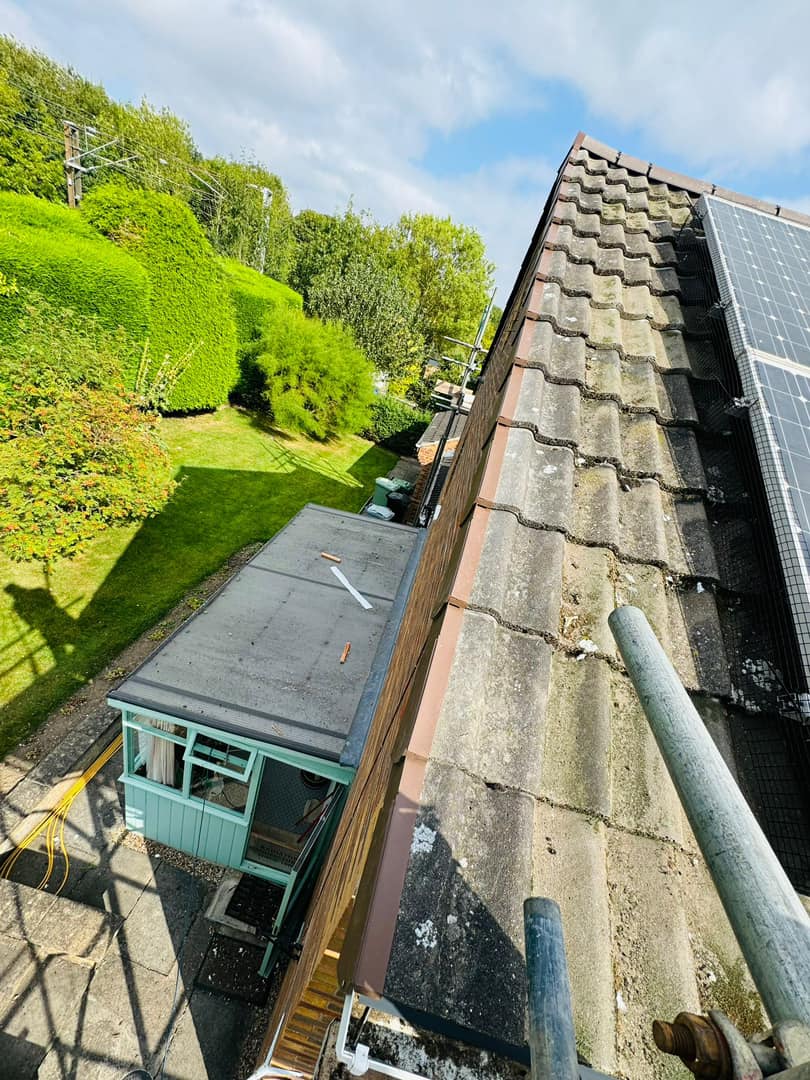 Roofing project - 1303140914271699