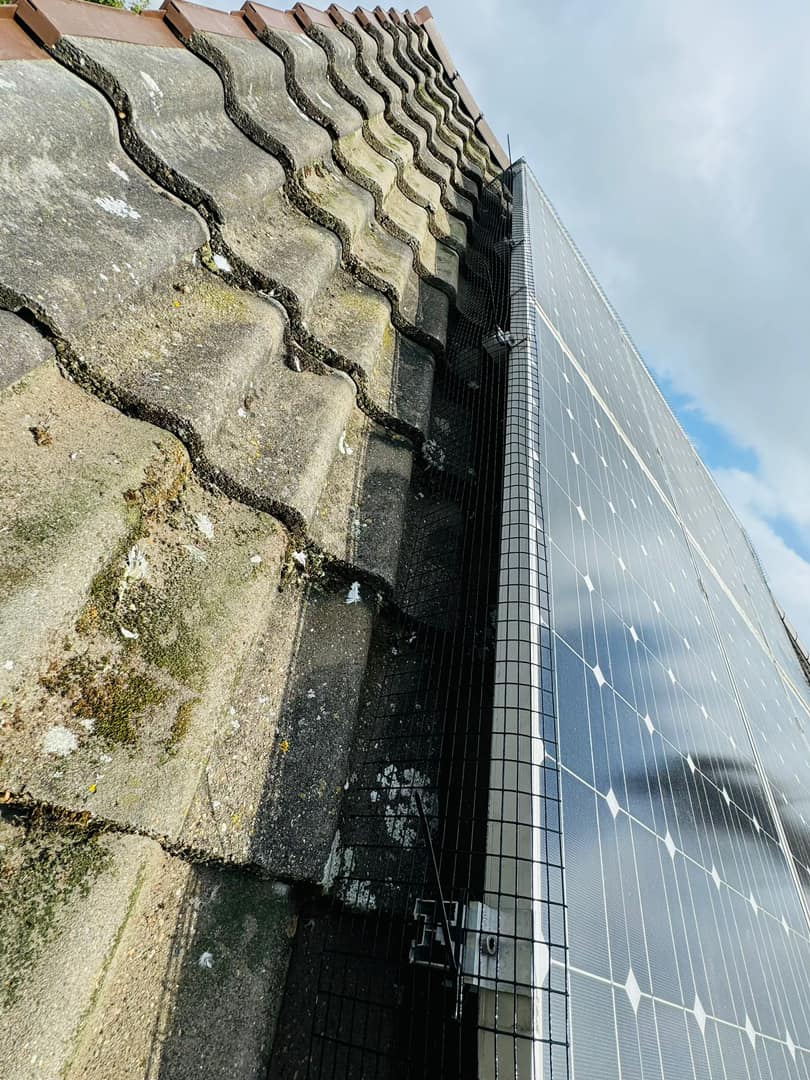 Roofing project - 1303140934271697