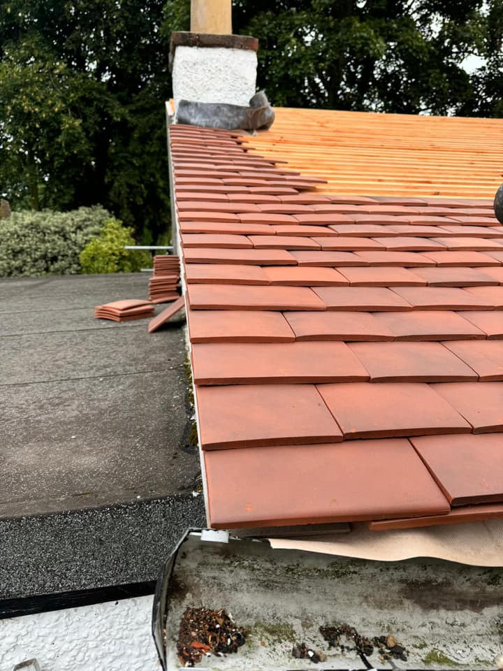 Roofing project - 1303195444266246