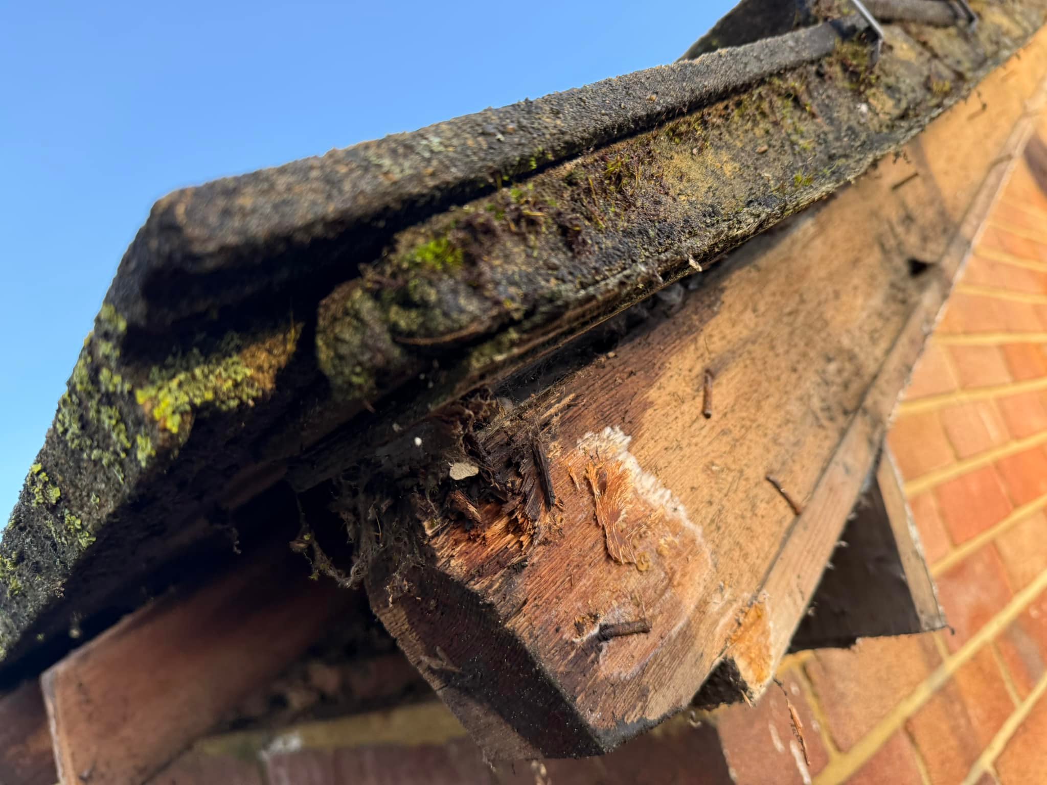 Roofing project - 1409982150254241