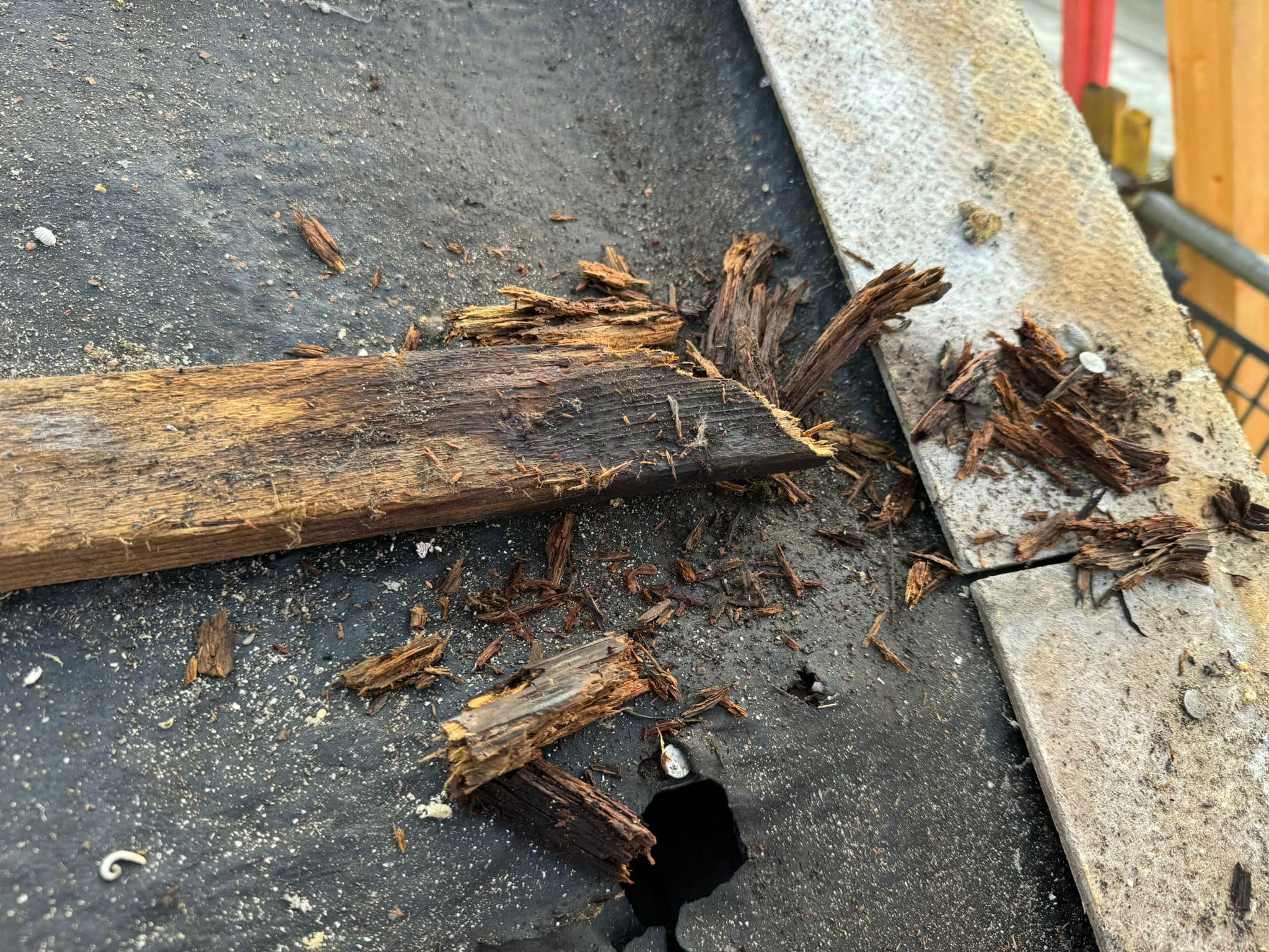 Roofing project - 1409995513586238