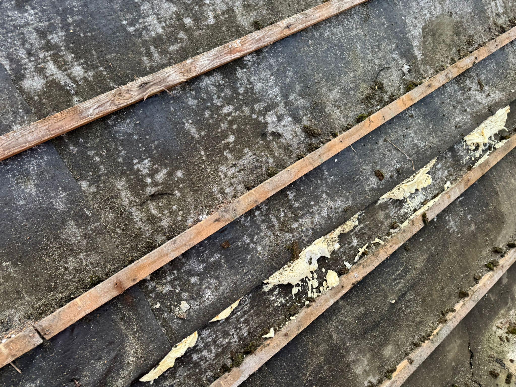 Roofing project - 1409995570252899