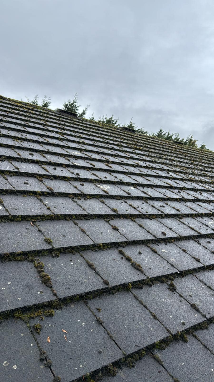 Roofing project - 1433598674559255