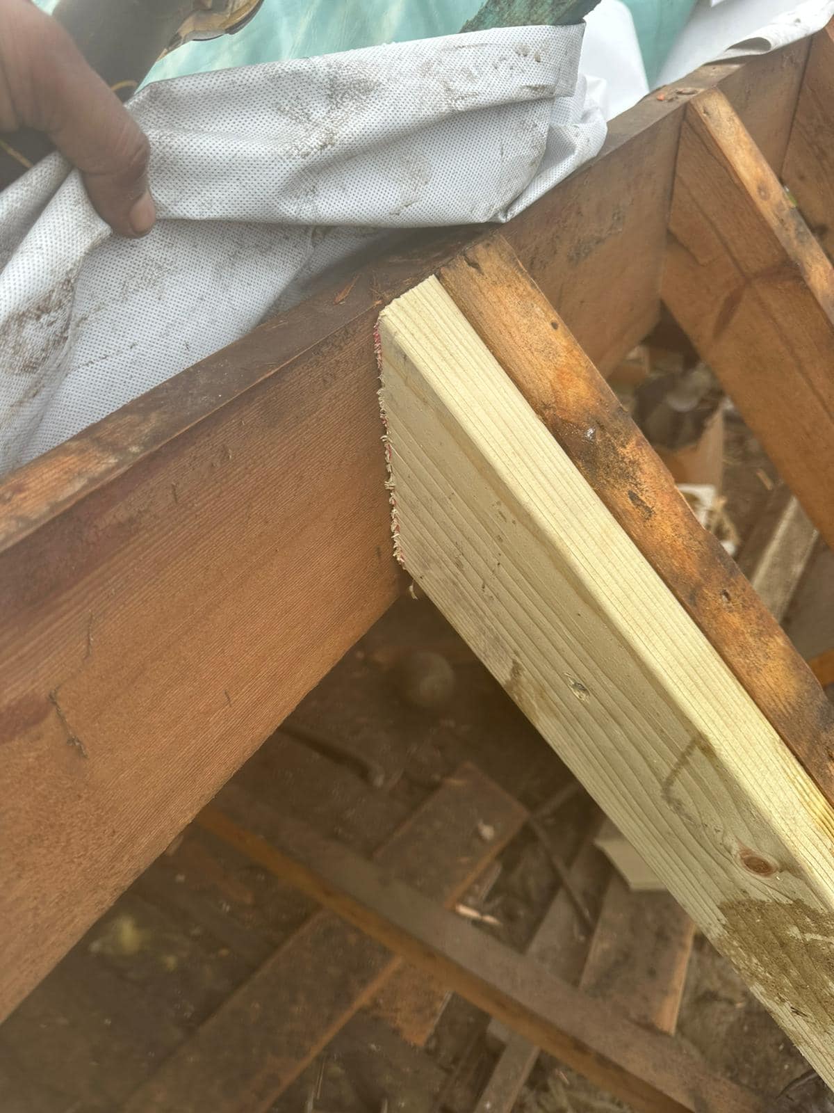 Roofing project - 1437413780844411