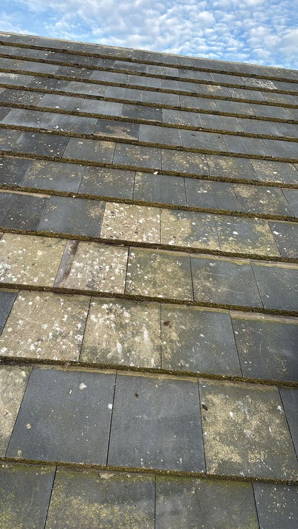 Roofing project - 1449530876299368