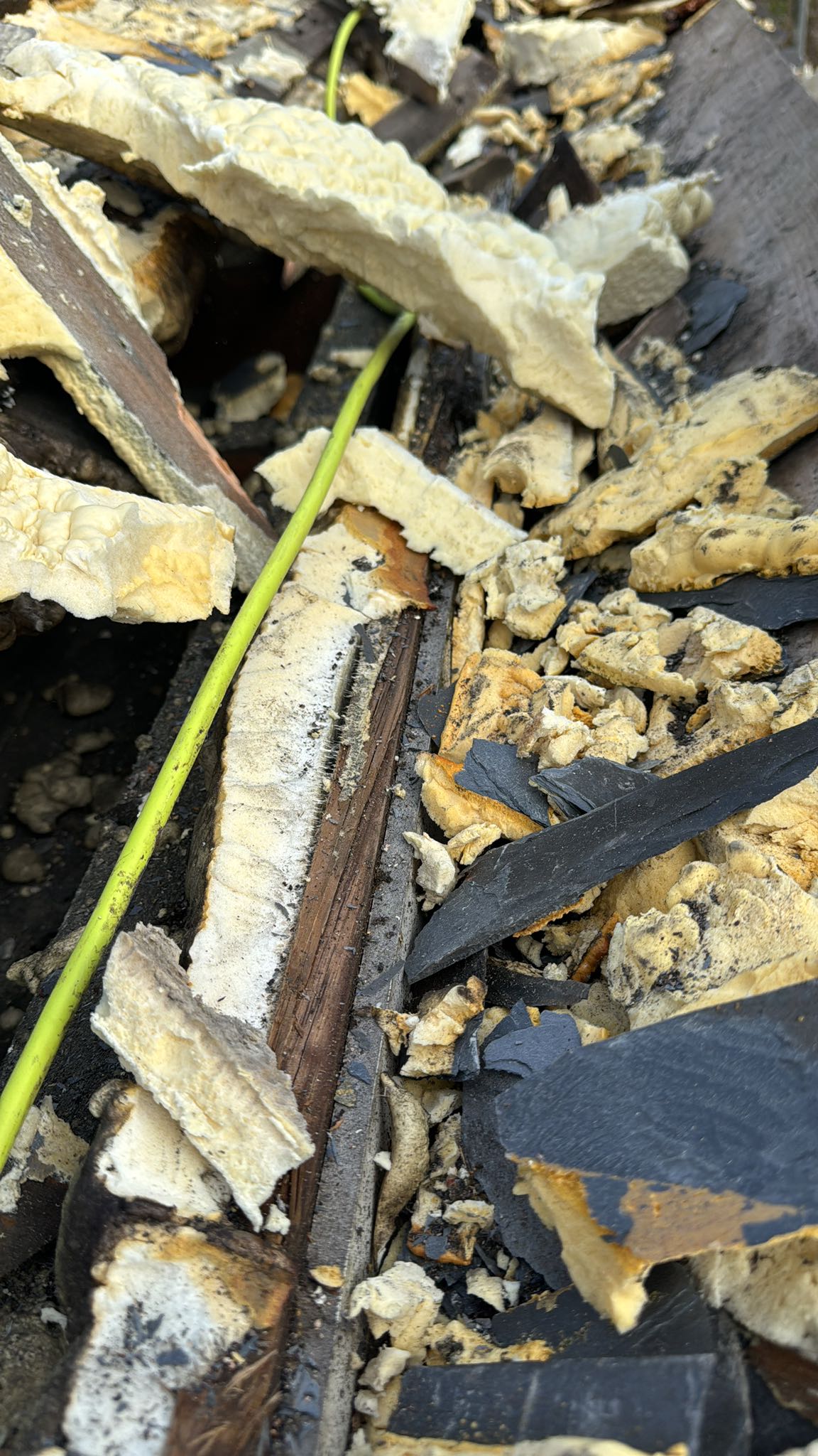 Roofing project - 1450936682825454