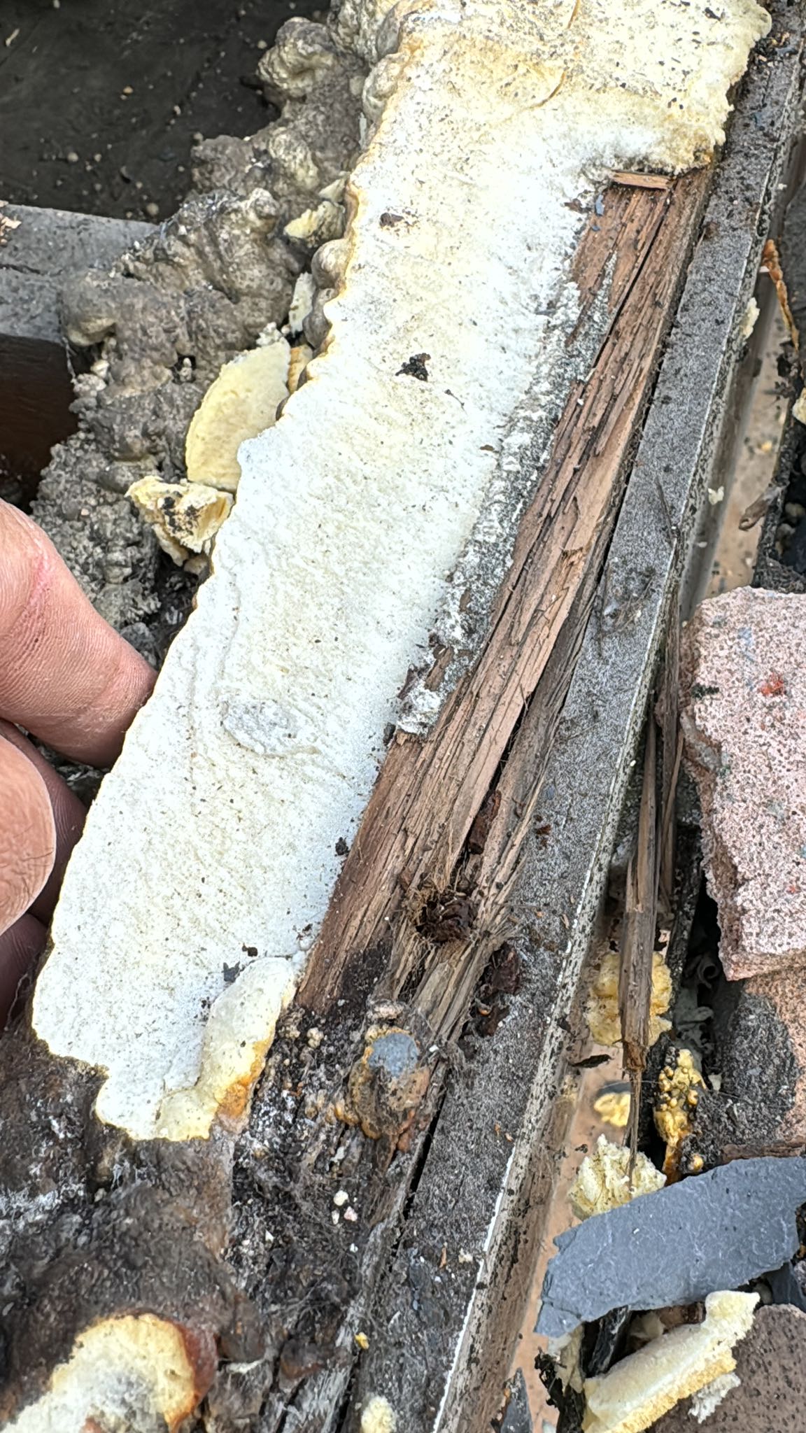 Roofing project - 1450936719492117