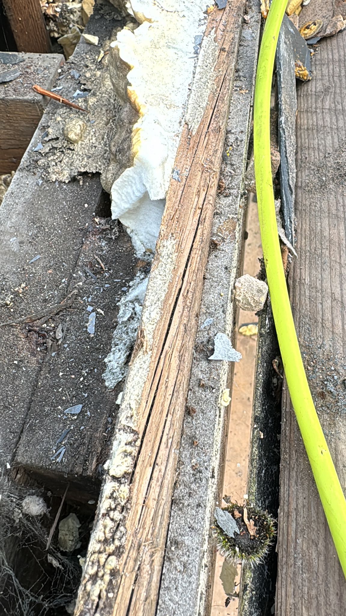 Roofing project - 1450936739492115