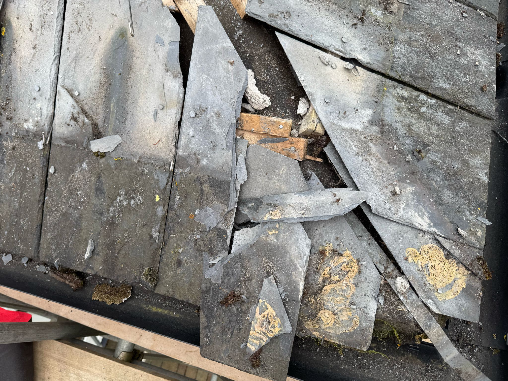 Roofing project - 1450941586158297