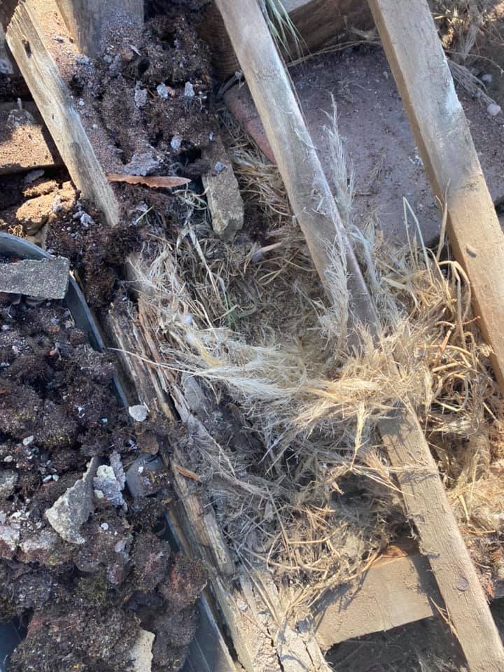 Roofing project - 251783202907313