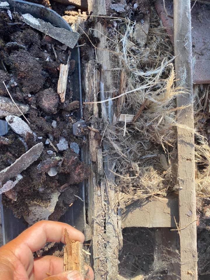 Roofing project - 251783206240646