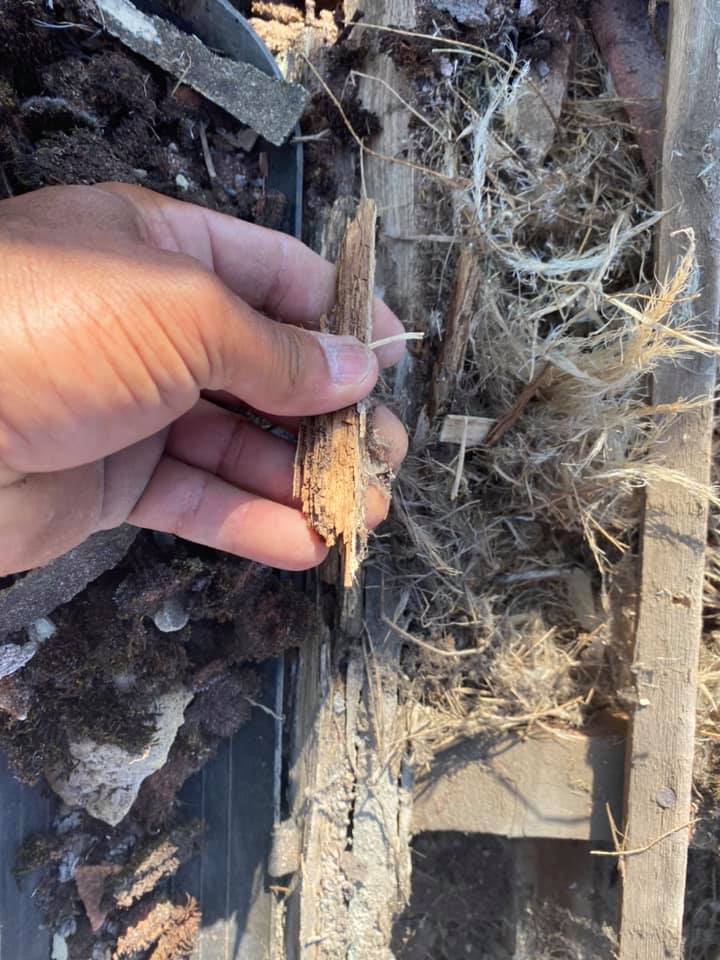 Roofing project - 251783379573962