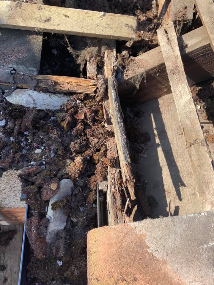 Roofing project - 251783396240627