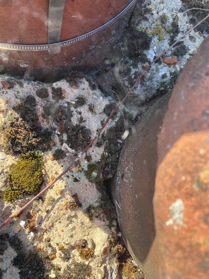 Roofing project - 251783439573956