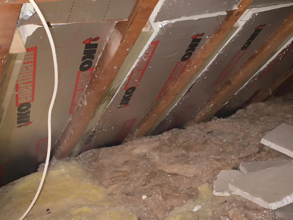 Roofing project - 421284139290551