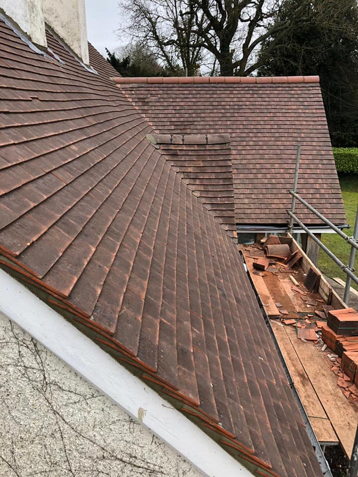 Roofing project - 444818823603749