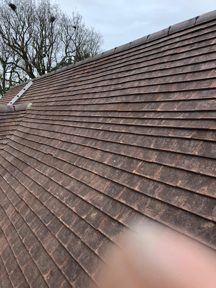 Roofing project - 444819073603724