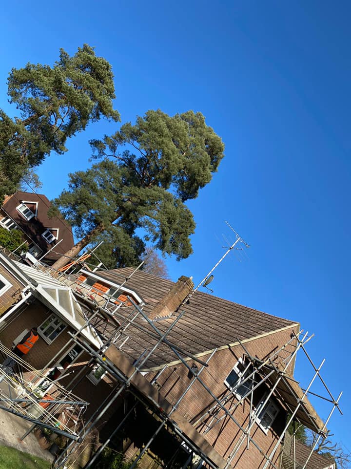 Roofing project - 470360137716284