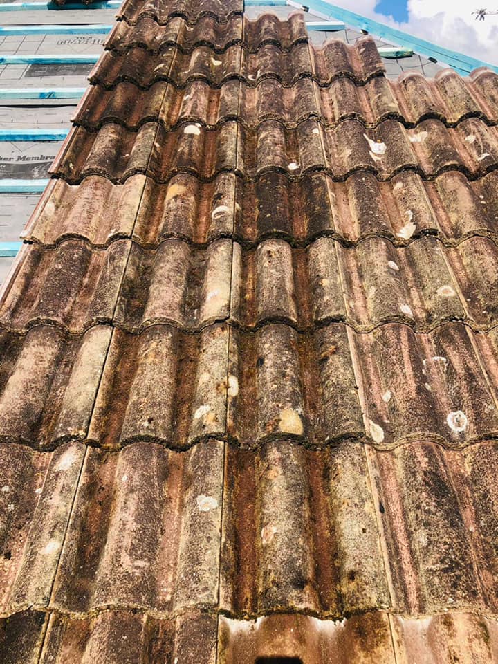 Roofing project - 490882715664026