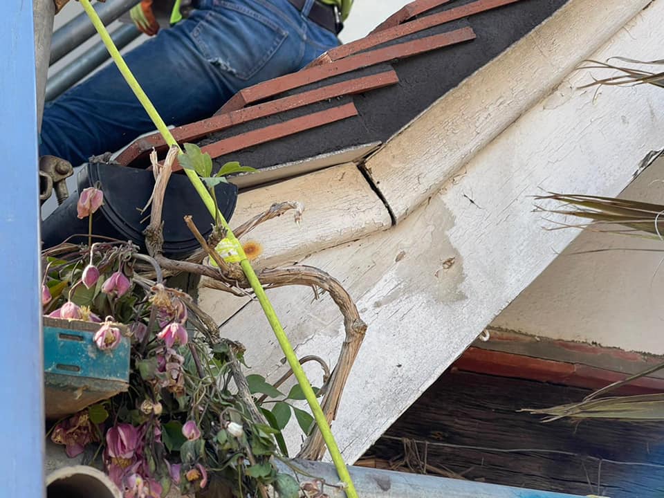 Roofing project - 490883728997258