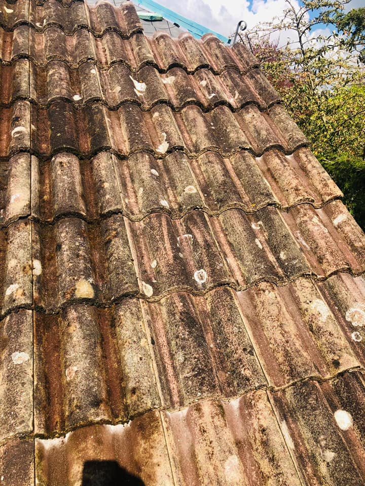 Roofing project - 492300688855562