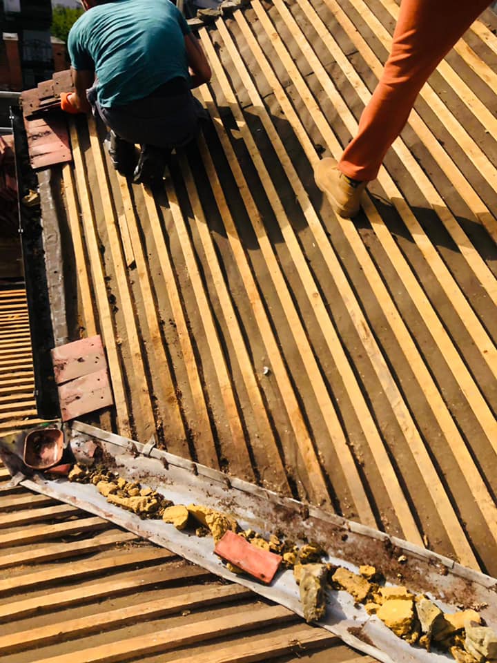 Roofing project - 577206313698332