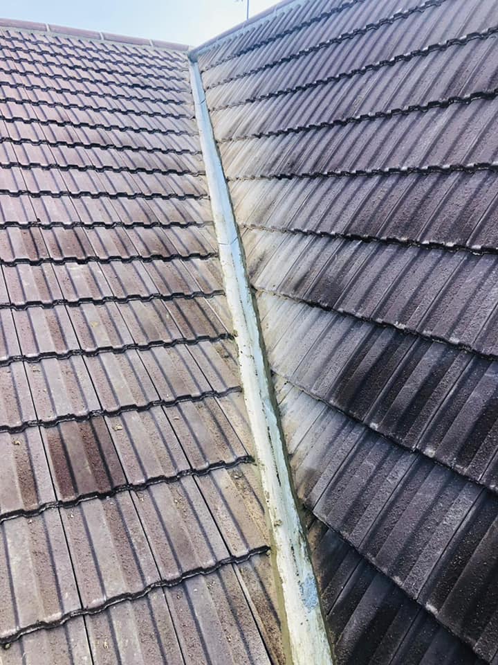 Roofing project - 589772979108332