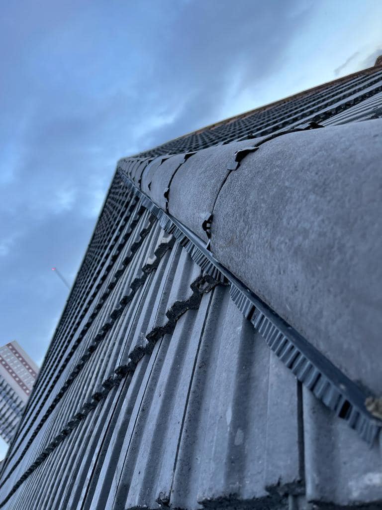 Roofing project - 650490796369883