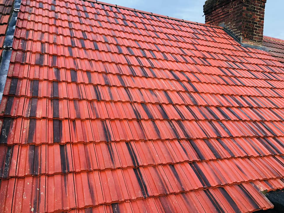 Roofing project - 668635744555388