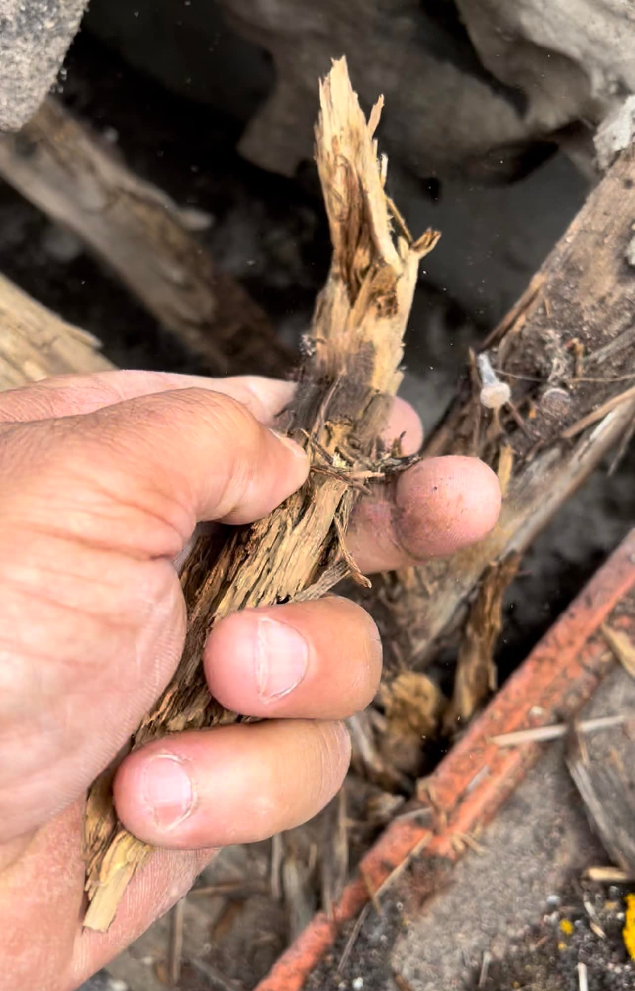 Roofing project - 738662394219389