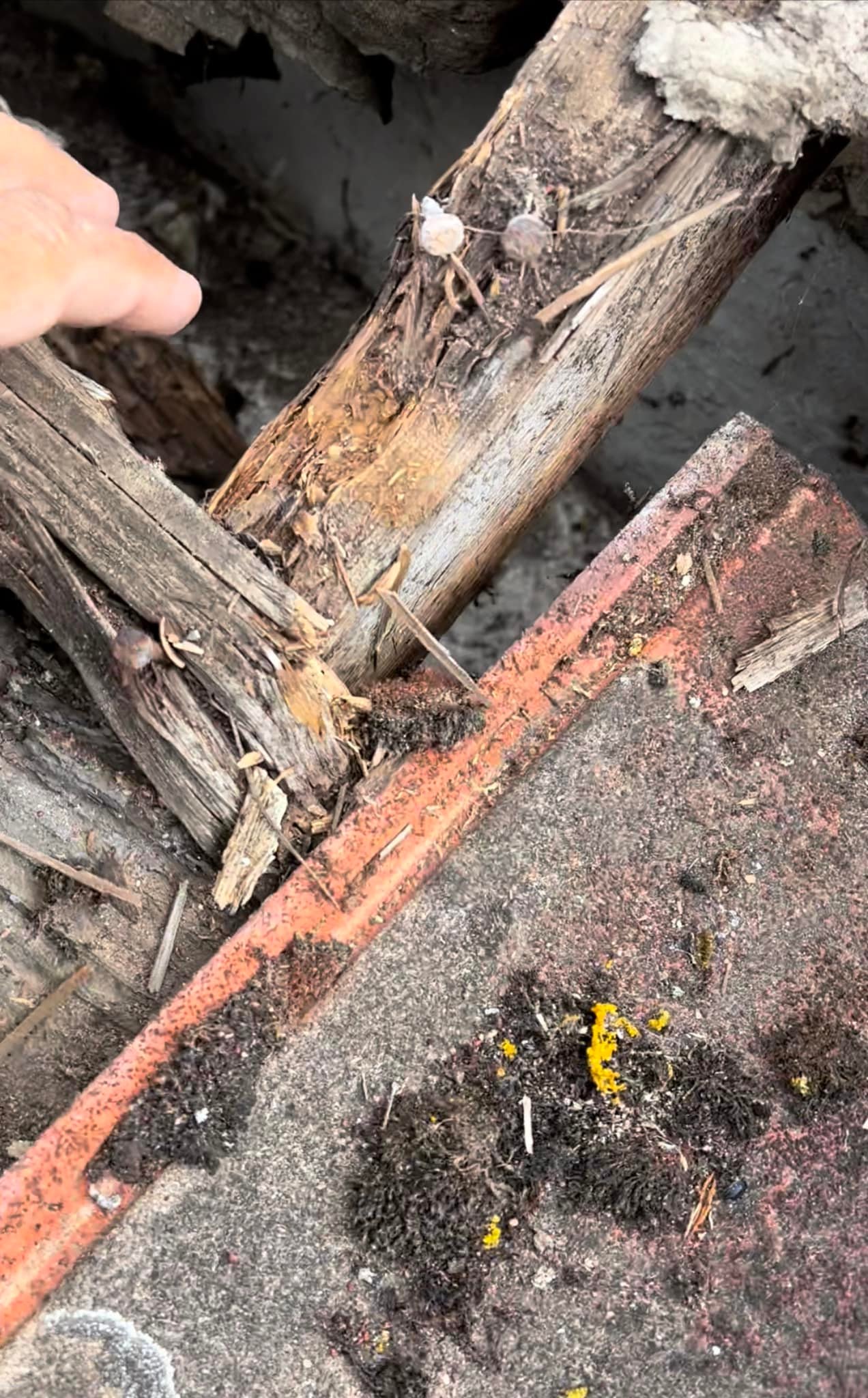 Roofing project - 738662417552720